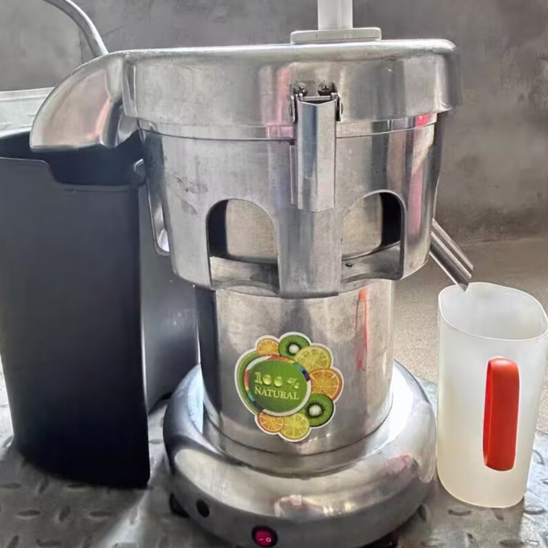 220V Elektrische Professionele - Juicer recensie en prijs