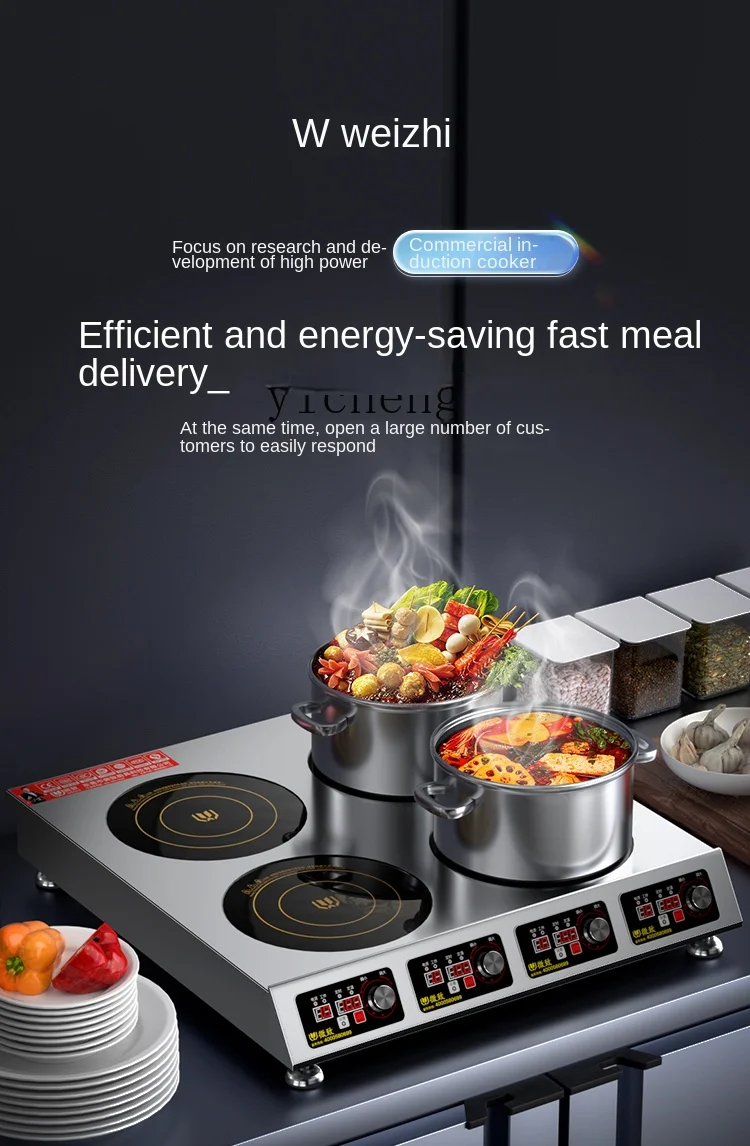 Commerciële inductiekookplaat  - Induction Cooker recensie en prijs